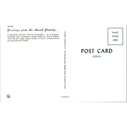 Amish Family Carriage Horse Buggy Pennsylvania Dutch Country Postcard PD8