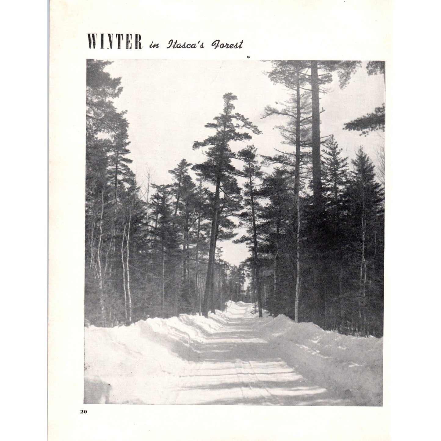 Winter in Itasca Minnesota Photograph Print 1940 Magazine Article D17