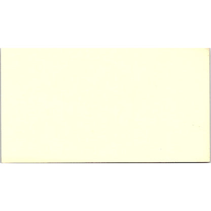 Comptroller's Department Dianne Phipps Houston TX Vintage Business Card SF3-B3