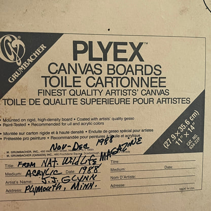 1988 Original Bald Eagle Framed Art Painting John J. Glynn Plymouth MN 14x18"