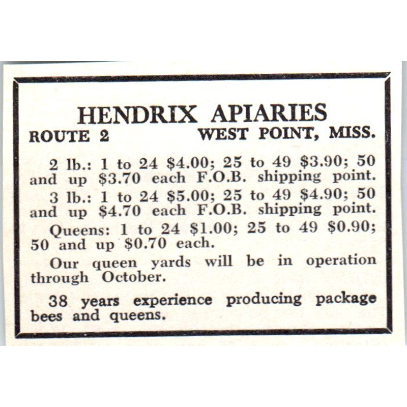 Hendrix Apiaries West Point Mississippi 1964 Magazine Ad AK5-S36