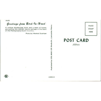 Doubletree Hitch & Team of Horses Pull Amish Family Carriage PA Postcard PD7