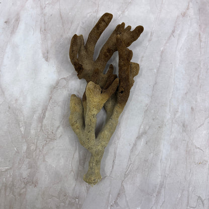 Vintage Dead Man's Fingers Ocean Sea Sponge 8" Long TG7
