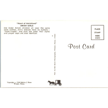 Amish Girls Hook-N-Eyes Dresses Pennsylvania Dutch Country Postcard PD7