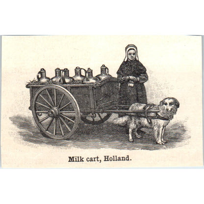 Dog Pulling a Milk Cart in Holland 1901 Engraving AF2-P1
