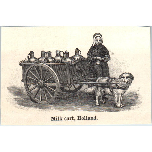 Dog Pulling a Milk Cart in Holland 1901 Engraving AF2-P1