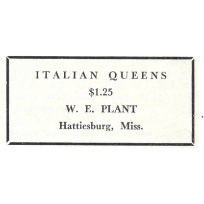 Italian Queens W.E. Plant Hattiesburg MS 1964 Magazine Ad AB6-S15