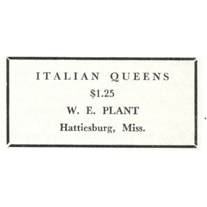 Italian Queens W.E. Plant Hattiesburg MS 1964 Magazine Ad AK6-S15