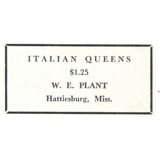 Italian Queens W.E. Plant Hattiesburg MS 1964 Magazine Ad AK6-S15