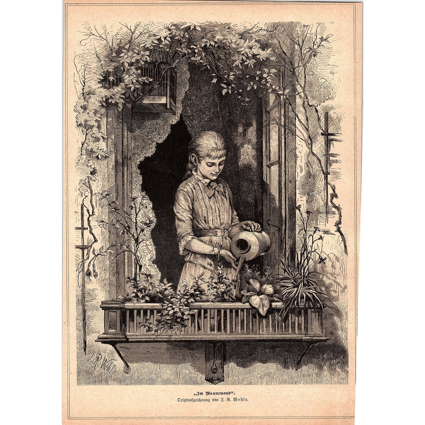 In The Bliss Moon - Watering Flowers J.R. Wehle 1892 Engraving V1-3