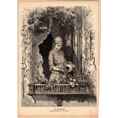 In The Bliss Moon - Watering Flowers J.R. Wehle 1892 Engraving V1-3