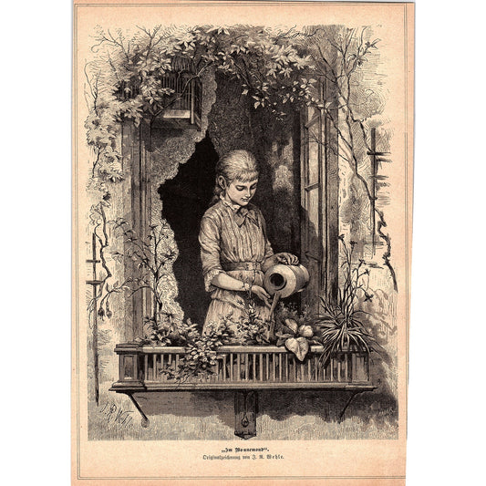 In The Bliss Moon - Watering Flowers J.R. Wehle 1892 Engraving V1-3