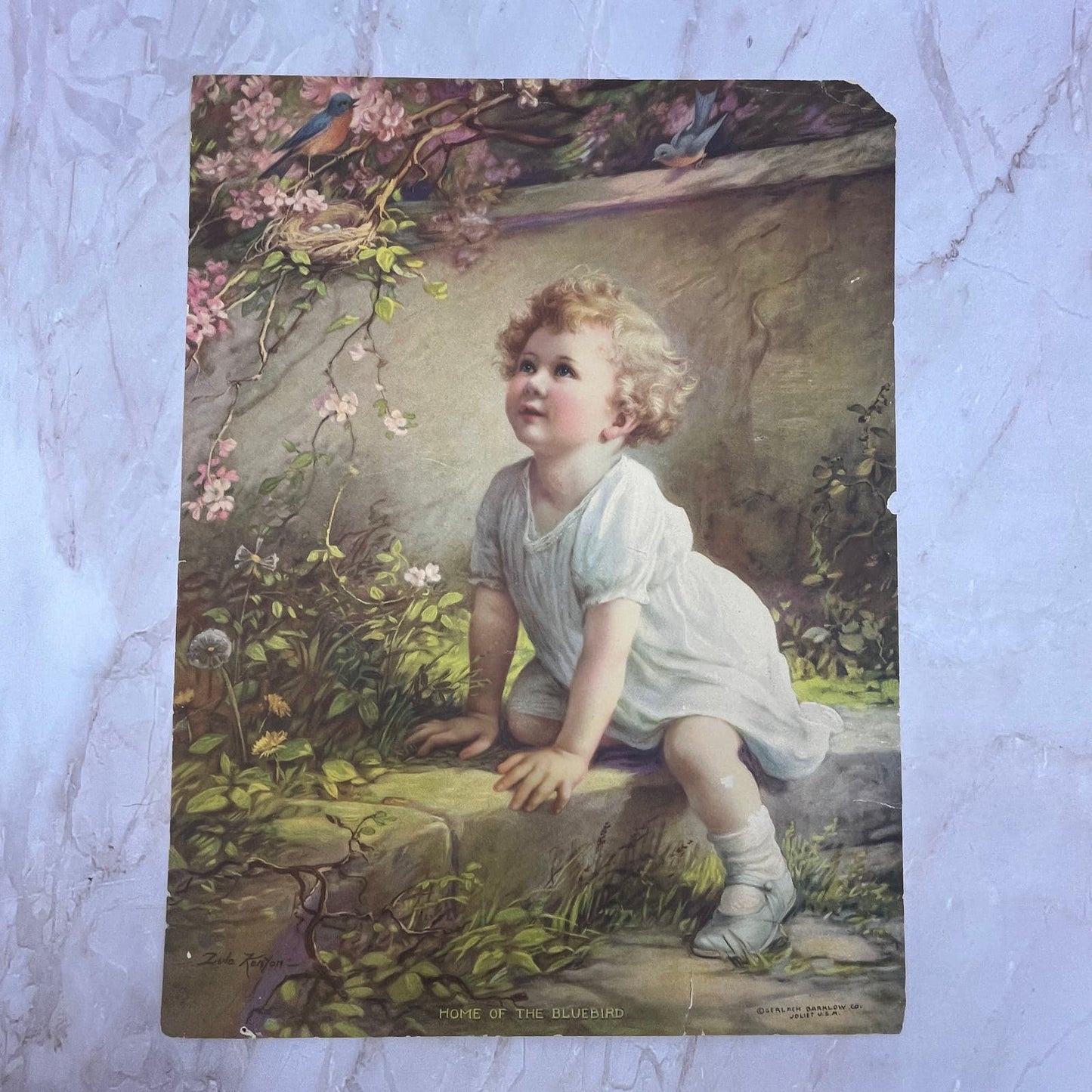 1920's Zula Kenyon Home of the Bluebird Art Print Lithograph 10x13 FL6-3