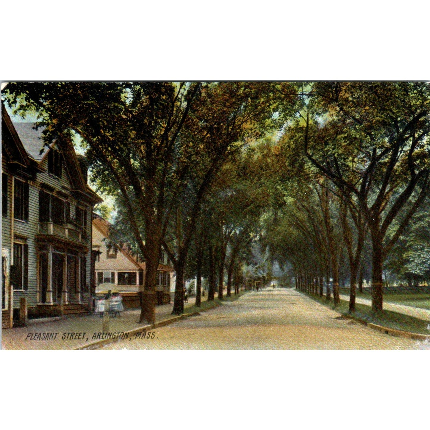 Pleasant Street View Arlington MA Antique Unused Postcard PC7