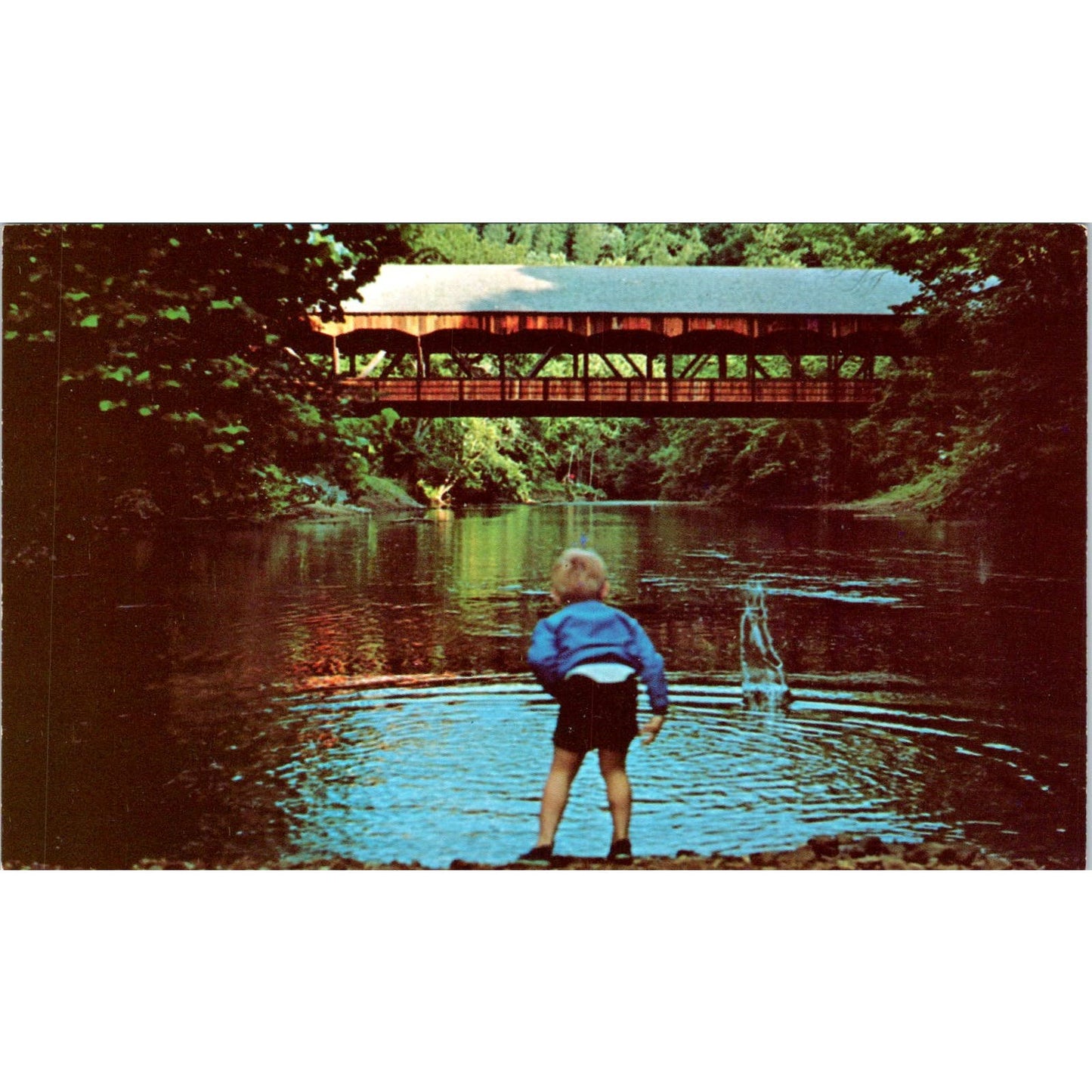 Mohican Park Bridge Clear Fork Creek Mansfield OH Covered Bridge Postcard PC3