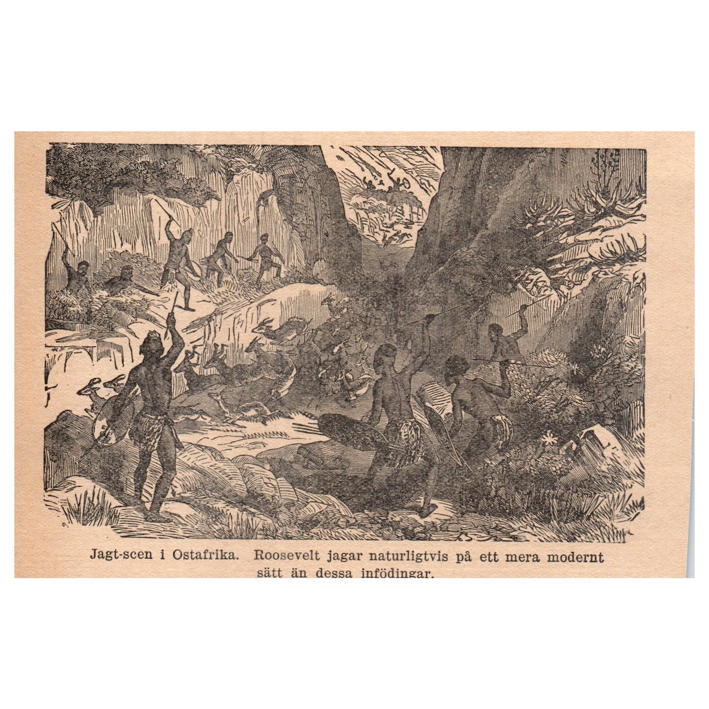 Hunting Scene in East Africa 1909 Swedish Engraving Print AF5-14