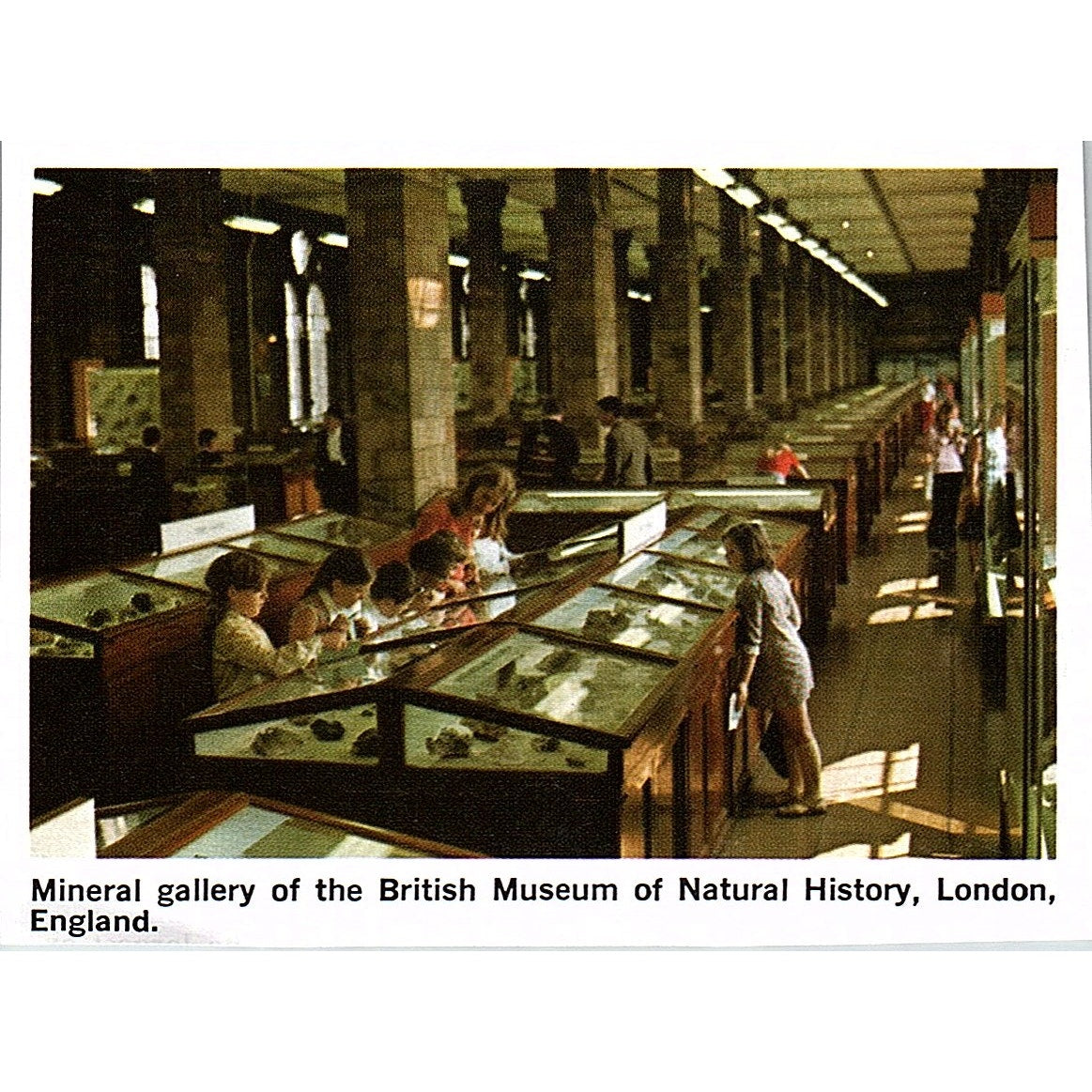 Mineral Gallery British Museum Natural History London England 1972 Photo AF8-M3