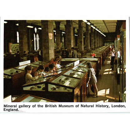 Mineral Gallery British Museum Natural History London England 1972 Photo AF8-M3