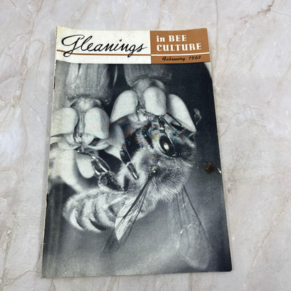 1963 February Gleanings in Bee Culture Magazine Bees Beekeeping Honey TD7