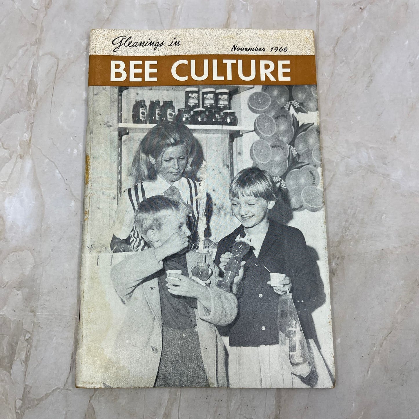 1966 Nov Gleanings in Bee Culture Magazine Bees Beekeeping Honey TD7