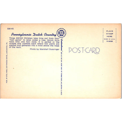 Three Amish Boys Relax Under a Tree PA Dutch Vintage Postcard PD4