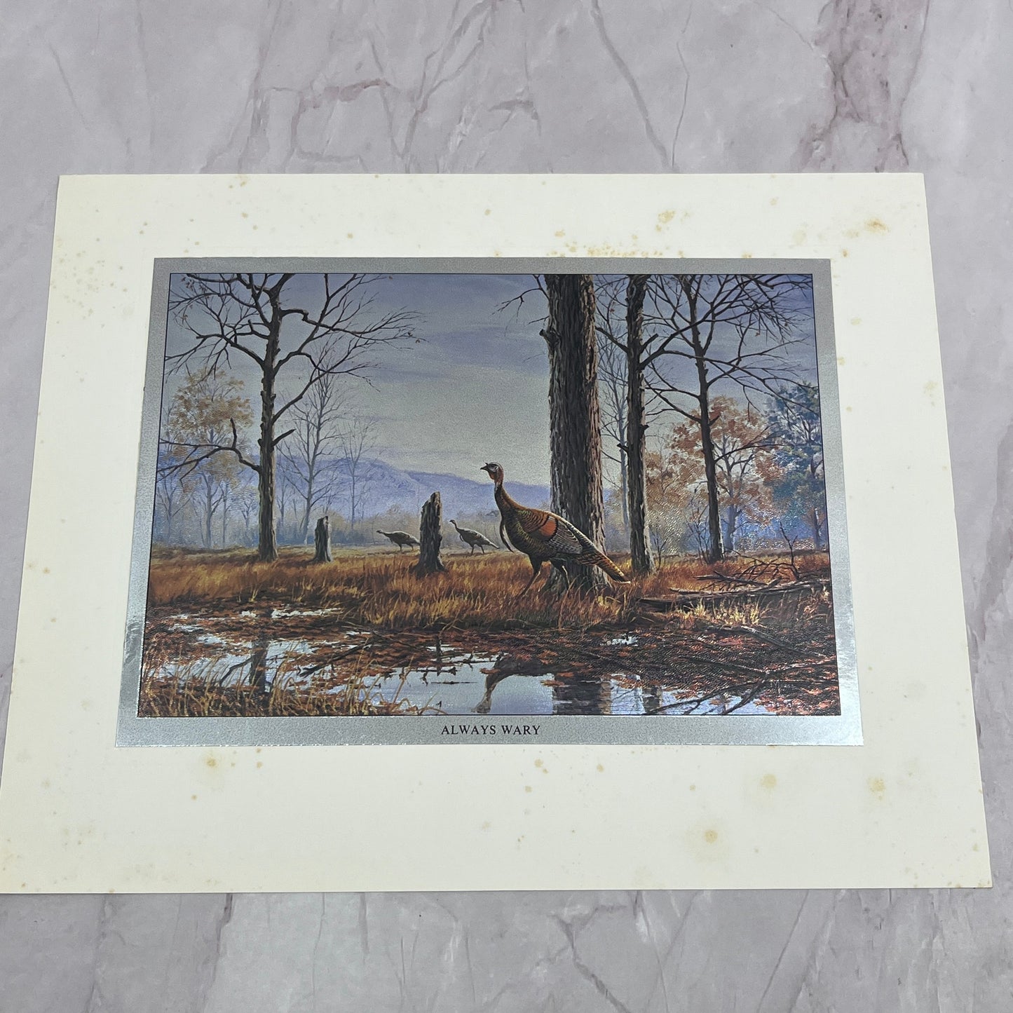Always Wary Turkeys by David A. Maass Vintage Chromatic Foil Etch 8x10" V18
