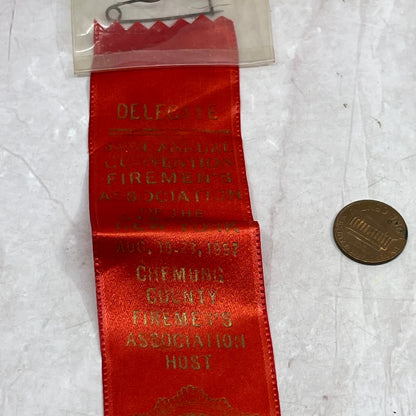 1957 New York Firemen's Association Convention Chemung County Delegate Pin SF4