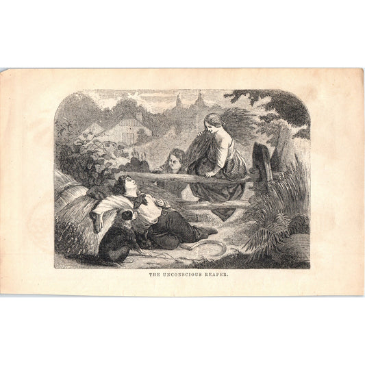 The Unconscious Reaper Boy and Dog Sleeping 1857 Original Art Engraving D19-3
