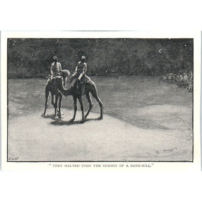 Men On Camels at Sunset S. Paget 1897 Victorian Illustration AE9-TS8