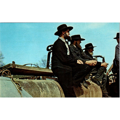 Amish Men on a Field Roller at Public Farm Sale PA Dutch Vintage Postcard PD4