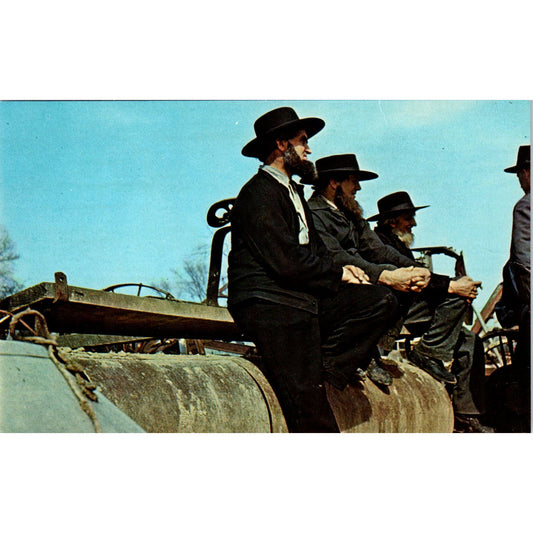 Amish Men on a Field Roller at Public Farm Sale PA Dutch Vintage Postcard PD4