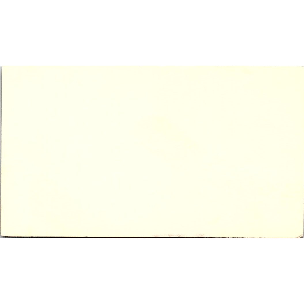 The Prudential Insurance Company Bruce W. Flanary Downey CA Business Card SB4-B3