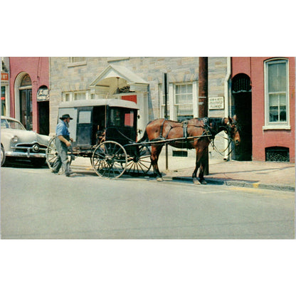 Amish Farmer Buggy in Lancaster Pennsylvania Dutch Country Vintage Postcard PD5