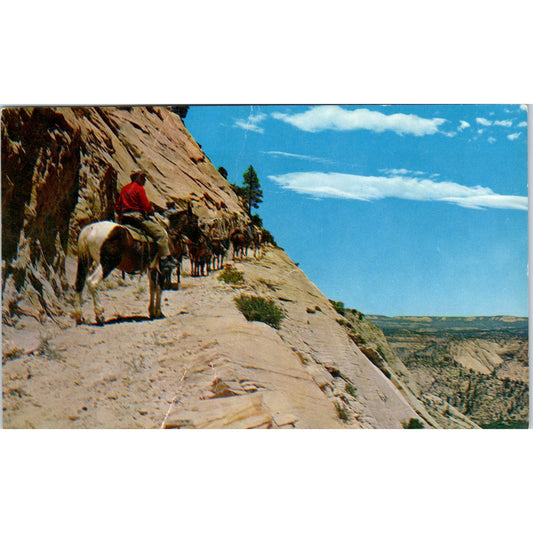 West Rim Trail Zion National Park Utah Vintage Postcard PE4