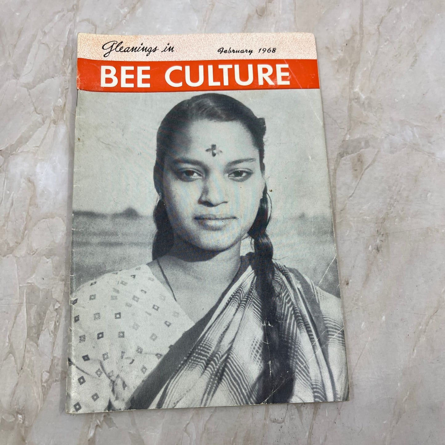 1968 Feb Gleanings in Bee Culture Magazine Bees Beekeeping Honey TD7