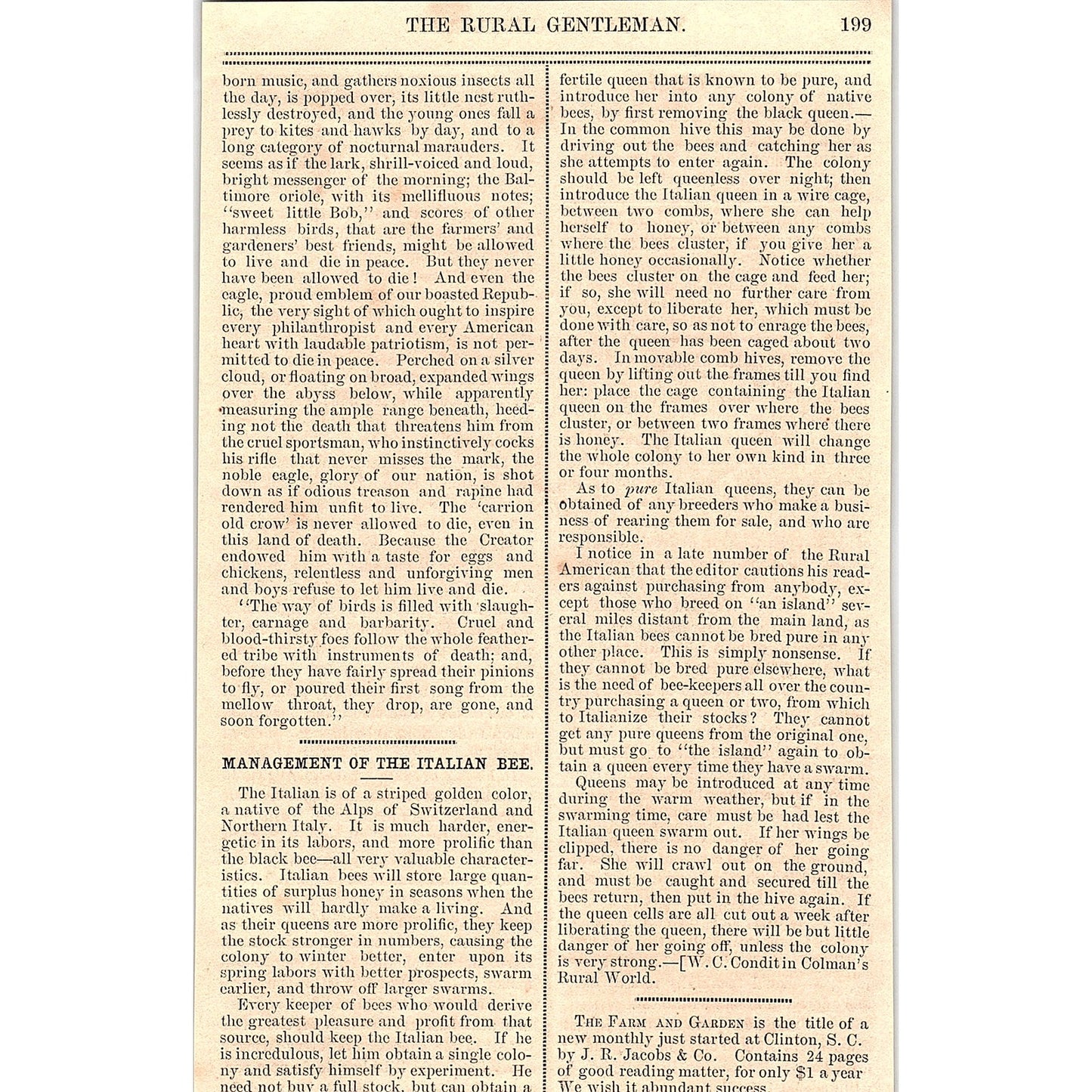 Management of the Italian Bee by W.C. Condit 1867 Article AG9-5