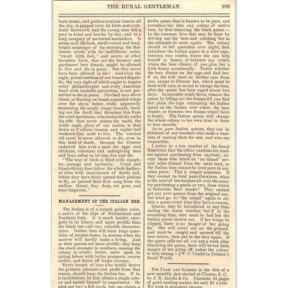 Management of the Italian Bee by W.C. Condit 1867 Article AG9-5