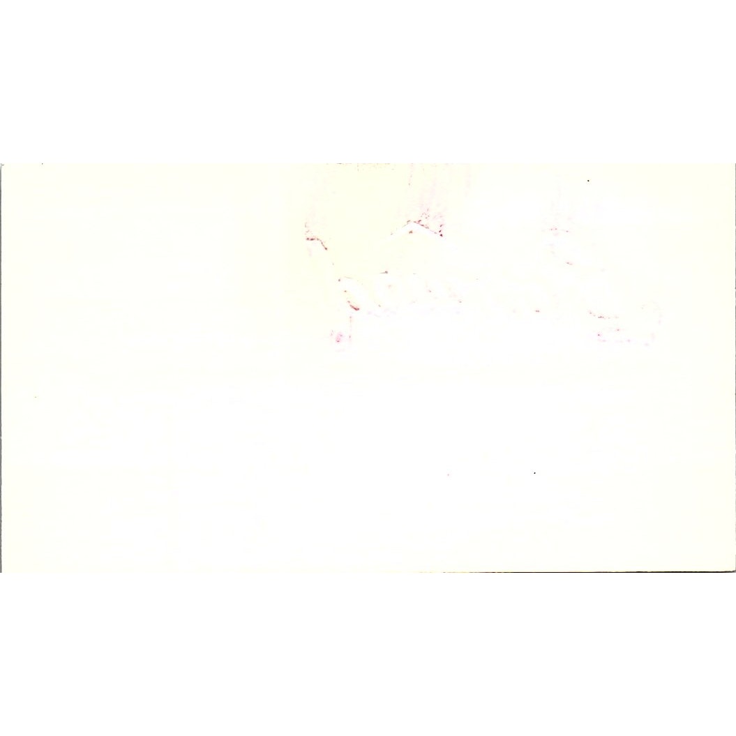 The Bovard Supply Frank Jones Houston Texas Vintage Business Card SB4-B11