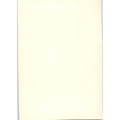Portrait of Dona Isabel Corbo De Porcel - Goya c1905 Art Print D14