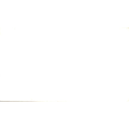 Cherokee Mini-Shops & Lodge Rentals Sherman June Lake CA Business Card SD8-B22