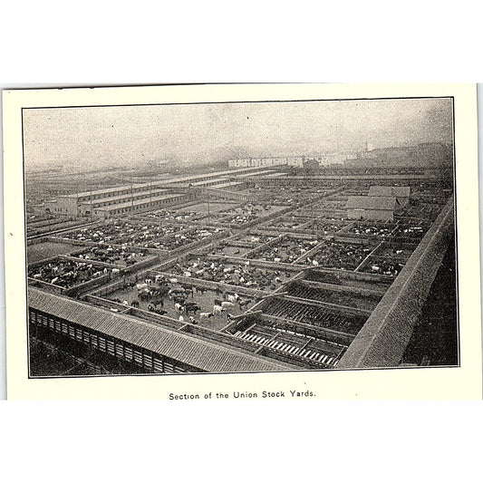 Aerial Photo Showing Section of Union Stock Yards 1892 Art Print AG2-9