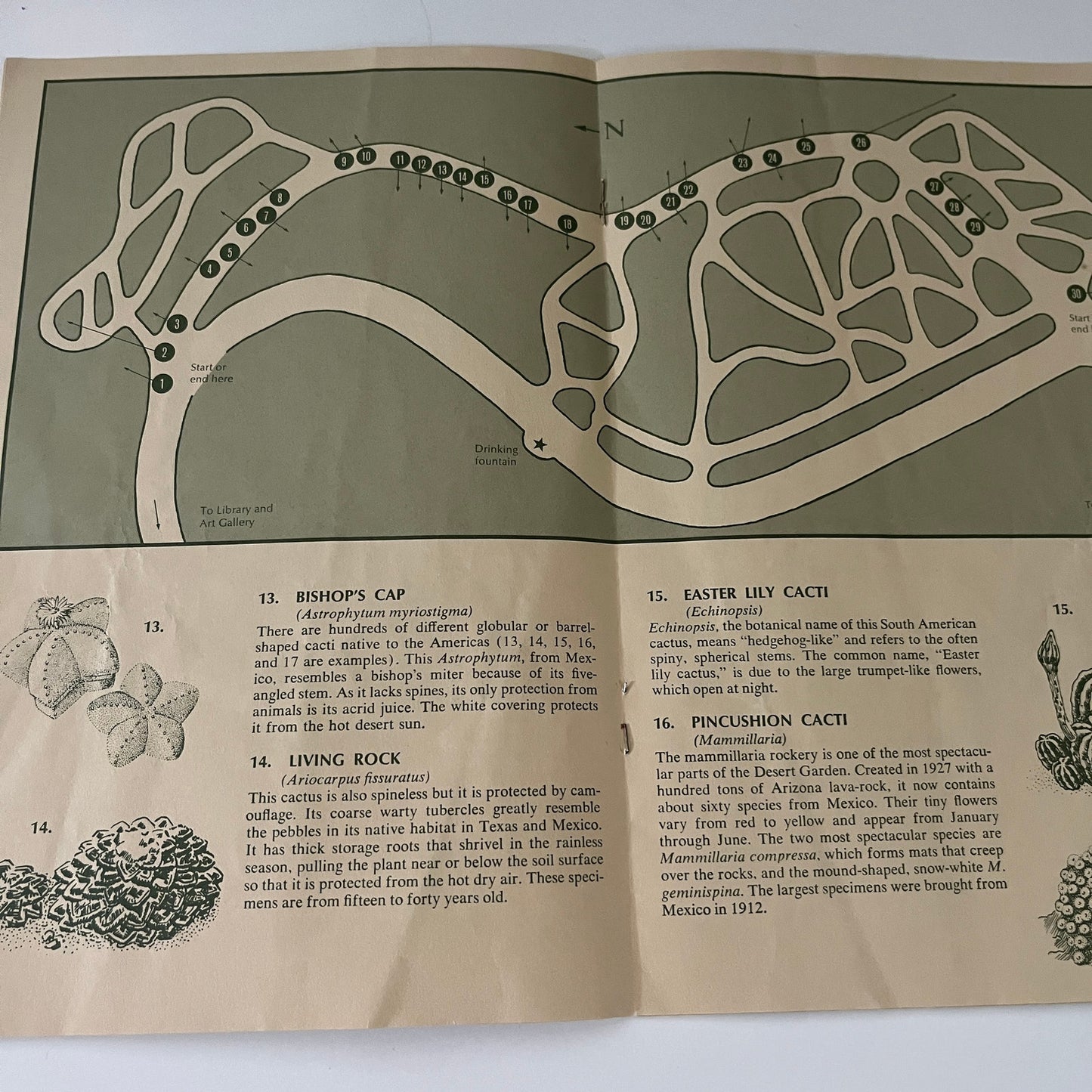 Self-Guided Tour to the Huntington Desert Garden Booklet San Marino CA  TE2-BB