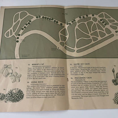 Self-Guided Tour to the Huntington Desert Garden Booklet San Marino CA  TE2-BB