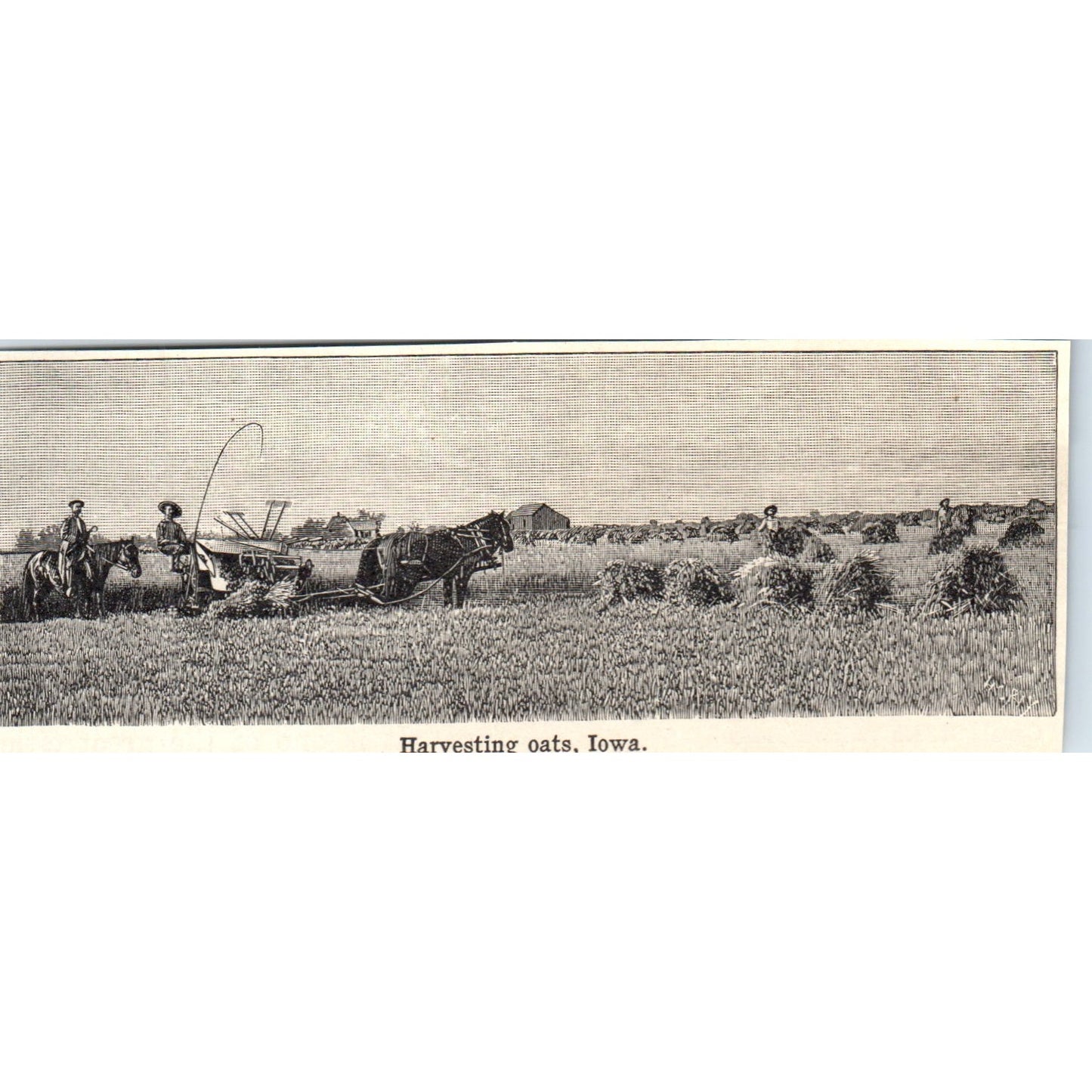Farmers Harvesting Oats in Iowa 1901 Engraving AF2-A6