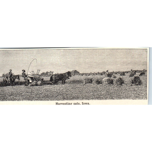 Farmers Harvesting Oats in Iowa 1901 Engraving AF2-A6