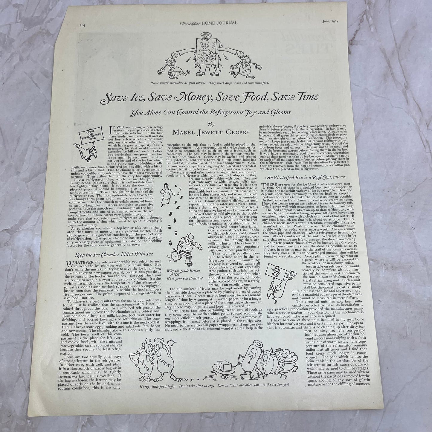 Save Ice, Save Money Electric Refrigerators Mabel Jewett Crosby 1924 Ad FL6-11