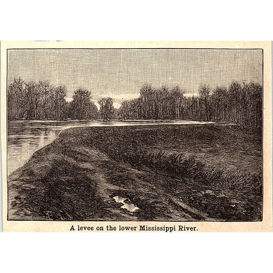 A Levee on the Lower Mississippi River 3x4" 1901 Engraving AF6-M11