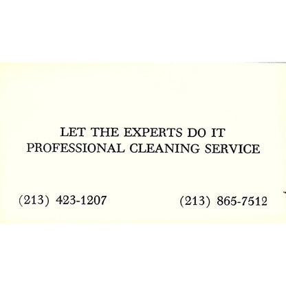 Let the Expert Do It Professional Cleaning Service Vintage Business Card SF3-B9