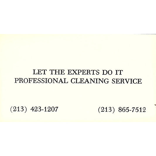 Let the Expert Do It Professional Cleaning Service Vintage Business Card SF3-B9
