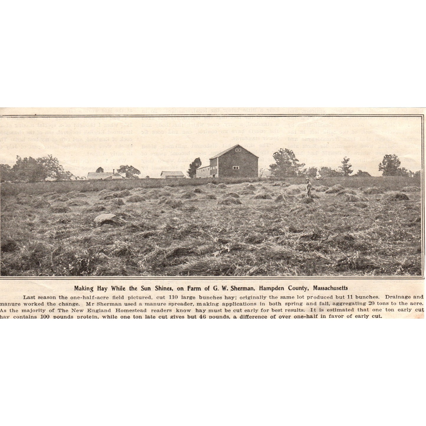 Making Hay Farm of G.W. Sherman Hampden Cty MA 1905 Magazine Ad AF1-NEH
